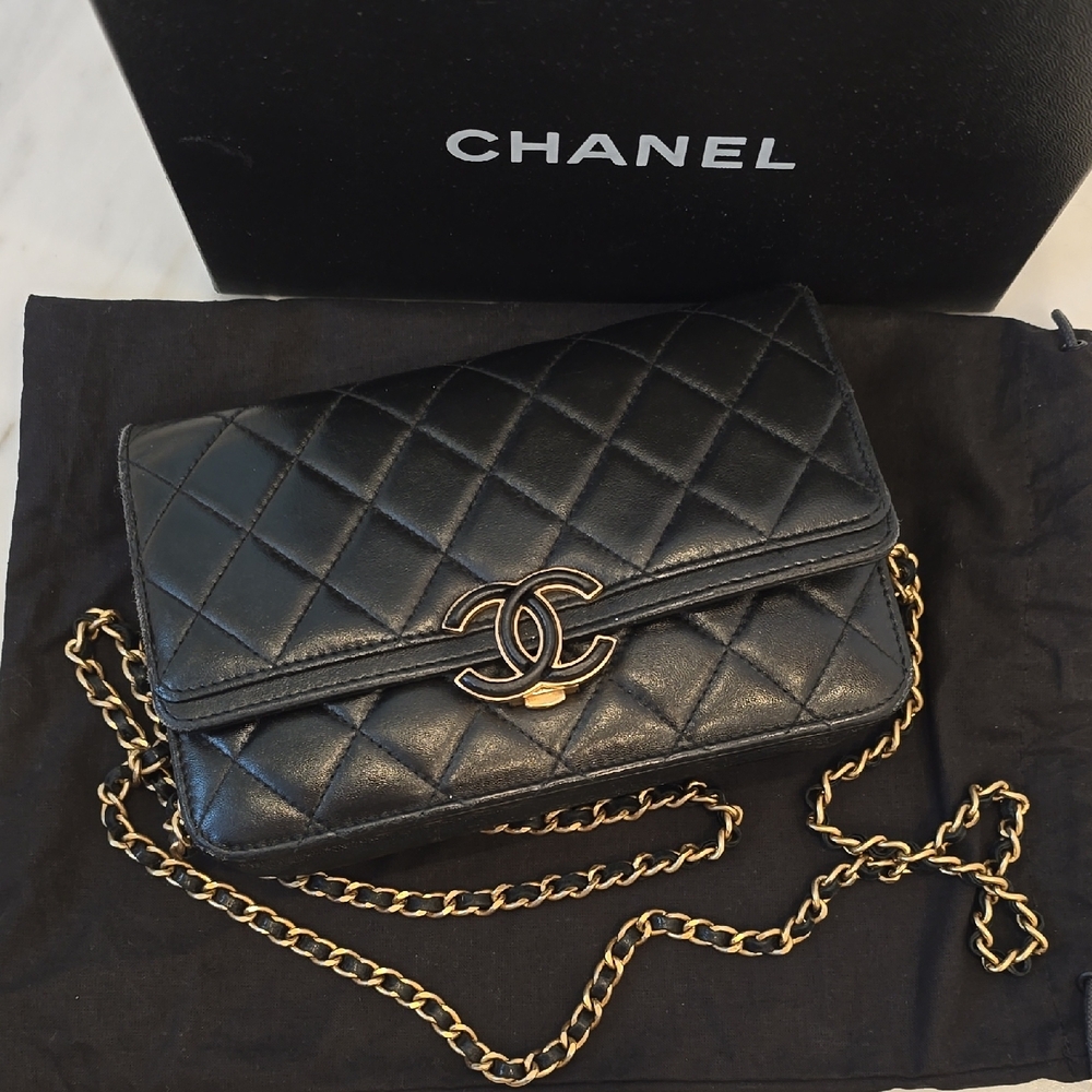 Chanel Quilted Leather Wallet On Chain